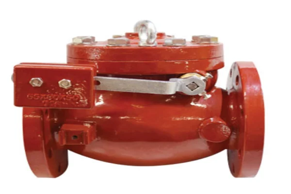 Check valve swing